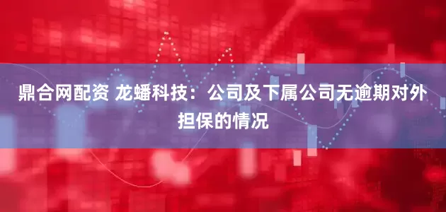 鼎合网配资 龙蟠科技：公司及下属公司无逾期对外担保的情况