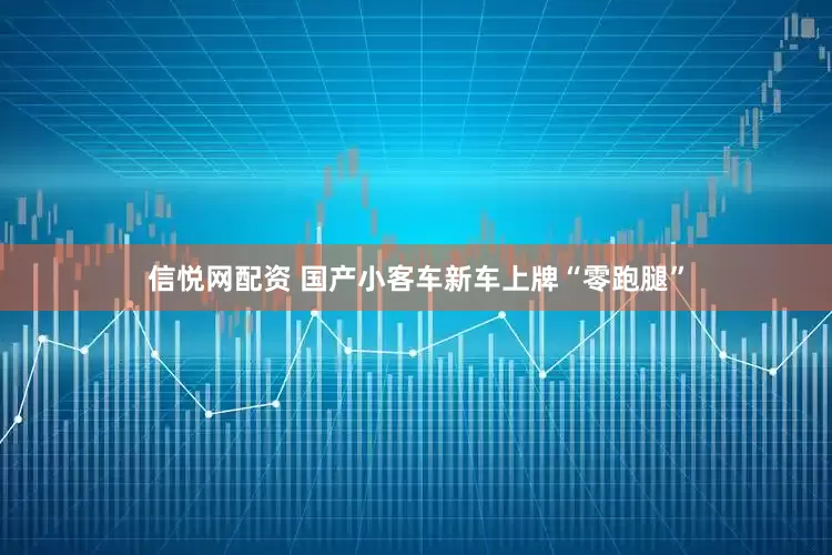 信悦网配资 国产小客车新车上牌“零跑腿”